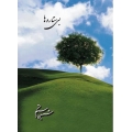 بی ستاره ها بی ستاره ها